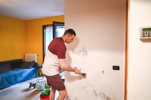 Best Professional Mold Removal  in Fort Hunt, VA